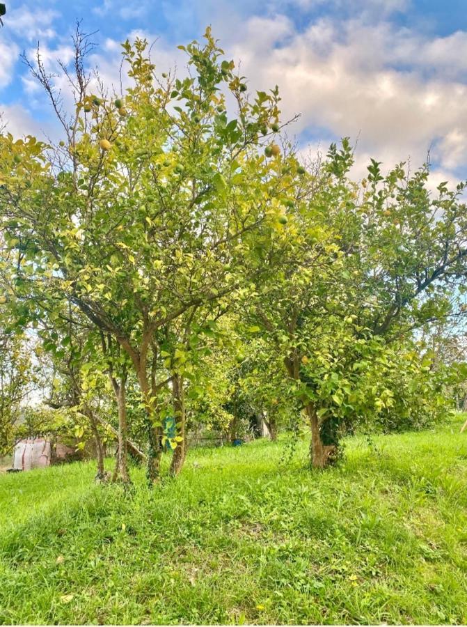 Casa Outeiro Villa Betanzos Dış mekan fotoğraf